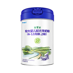 羊羊羊羊奶粉2段